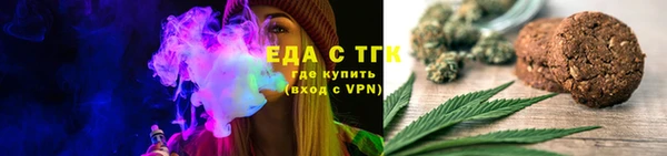 гидра Верхний Тагил