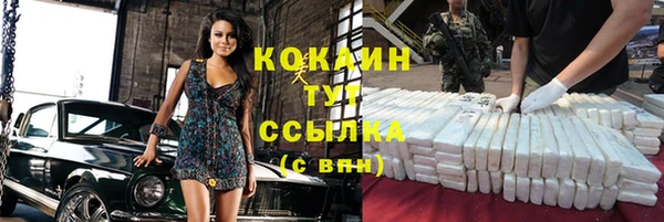 гидра Верхний Тагил