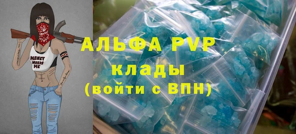 гидра Верхний Тагил