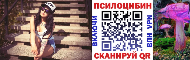 наркота  Гай  Псилоцибиновые грибы Psilocybe 