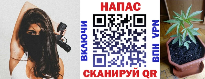 Шишки марихуана OG Kush  дарнет шоп  гидра вход  Гай 